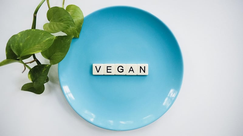 Plant-Based Proteins
